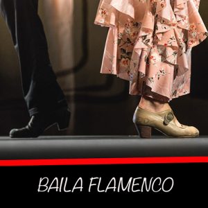 Tutoriales de flamenco