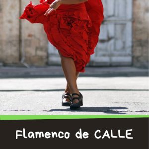 Improvisación del Flamenco de la Calle