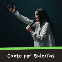 Cante por bulerías festeras