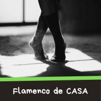 Fundamentos del Flamenco de Casa